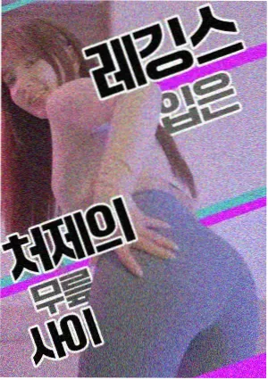 春季档题材分布报告配图